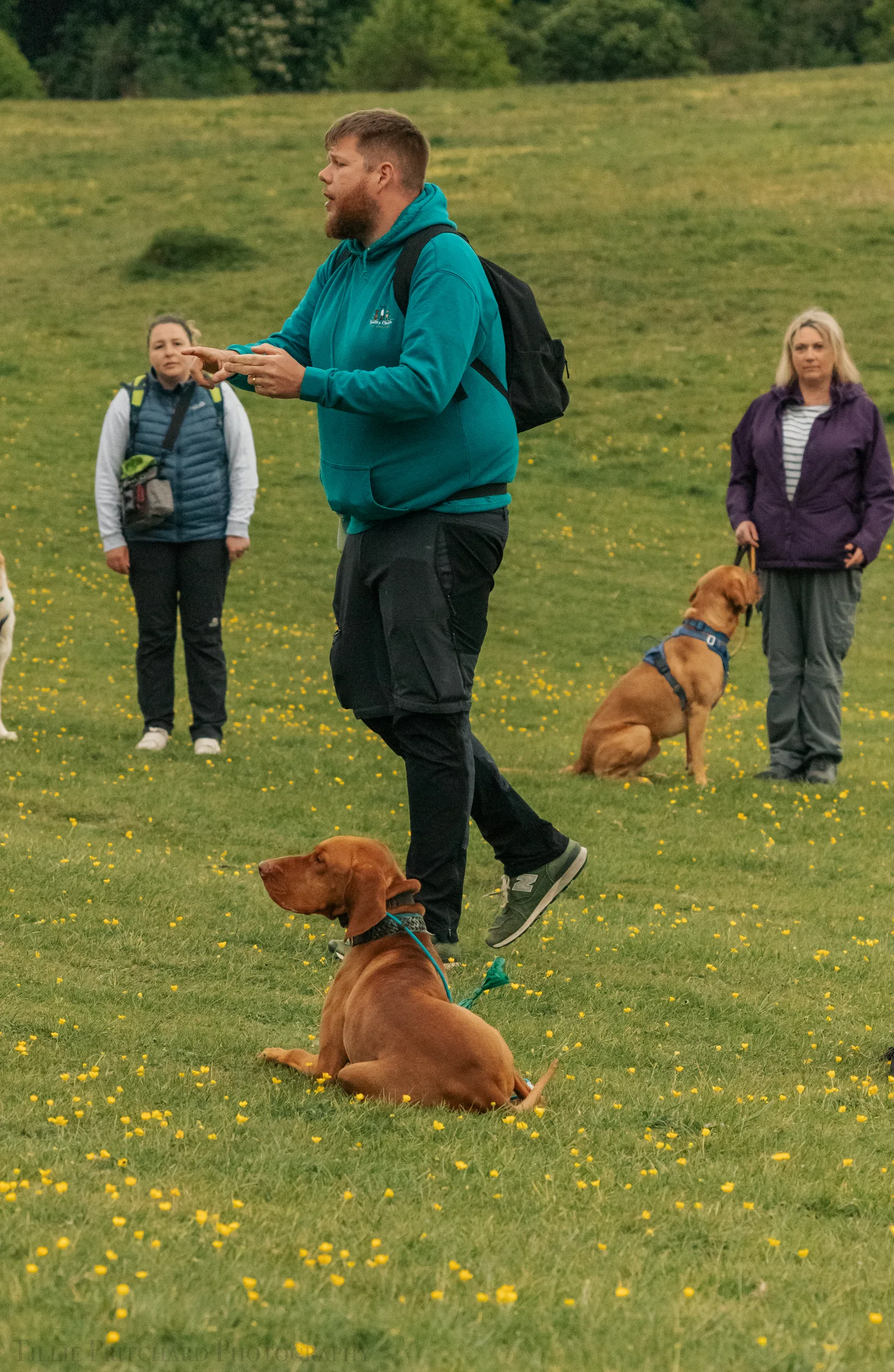 Quality Chops trainer working with a dog on a one-to-one session