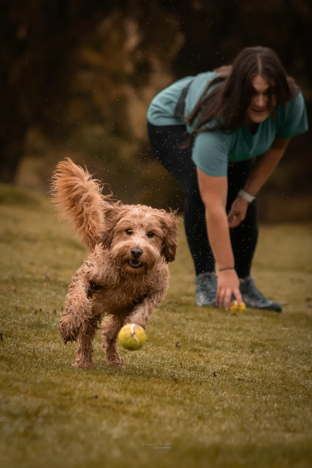 A puppy playing during a Quality Chops training session