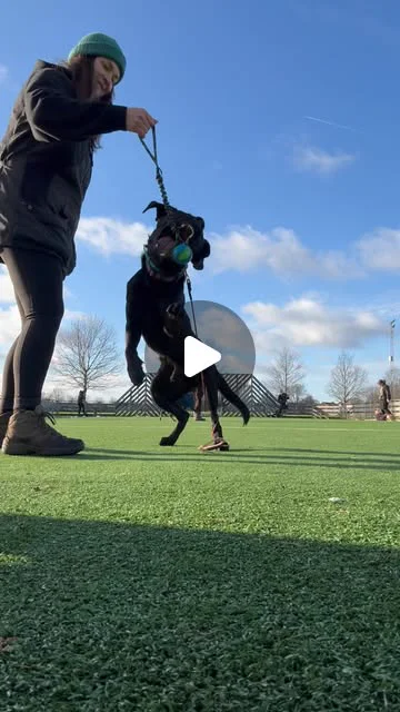 Inky the dog after his residential reboot