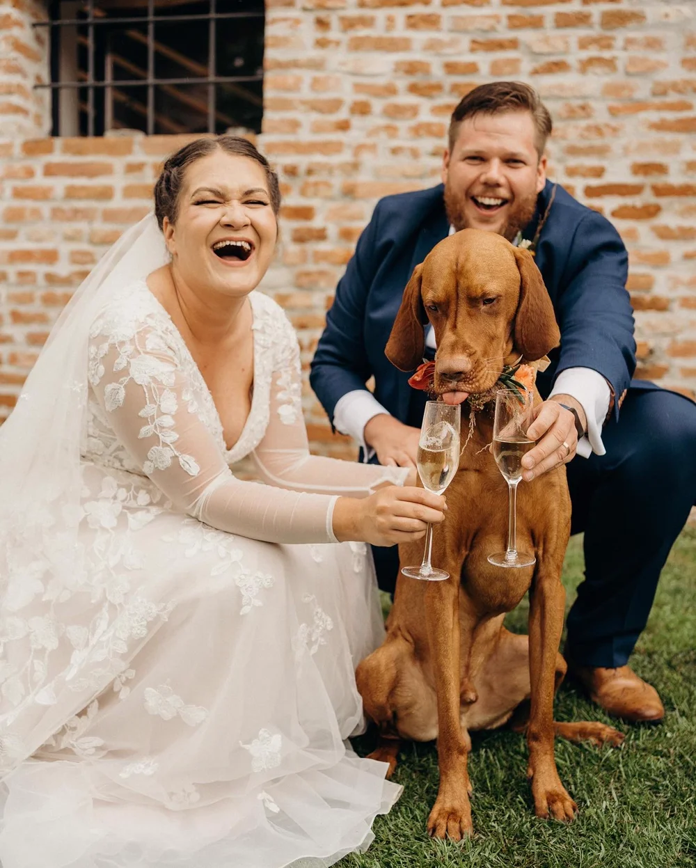 The bride and groom toasting with their dog at their wedding